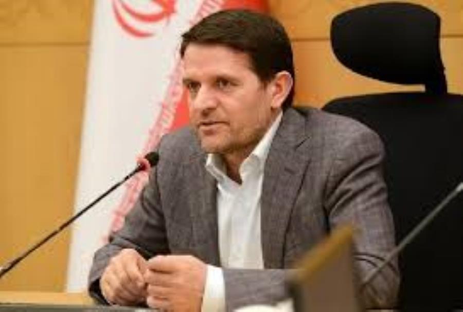 واگذاری موفق در پتروشیمی با ساختار زنجیره‌ای محقق می‌شود